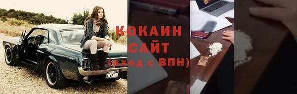 индика Алексин
