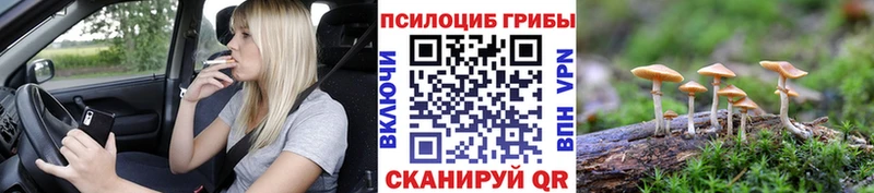 Галлюциногенные грибы Psilocybe  ссылка на мегу tor  Ефремов 