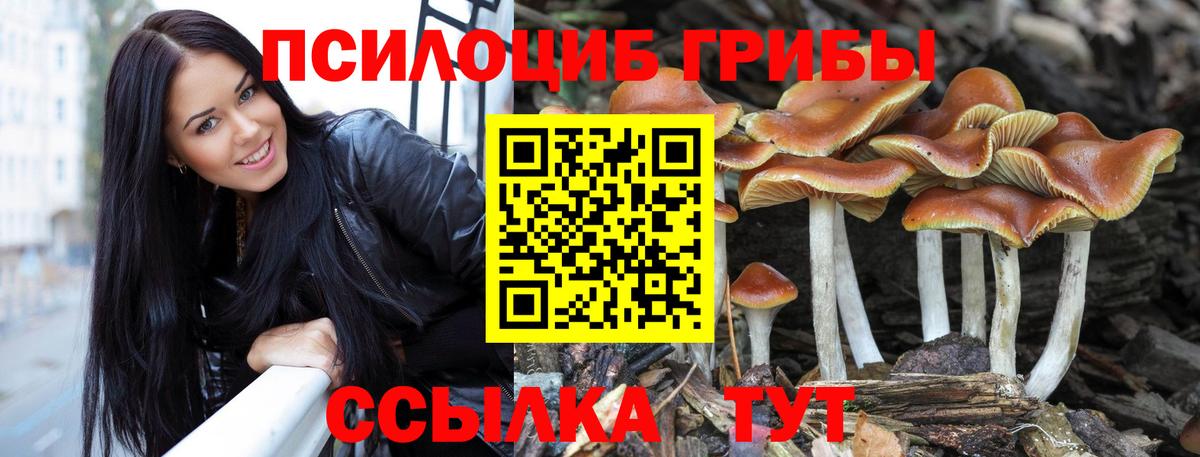 Галлюциногенные грибы Psilocybine cubensis Ефремов